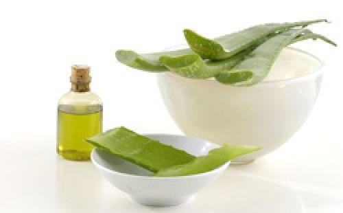 Шалфей для кожи лица. Польза шалфея для кожи 07