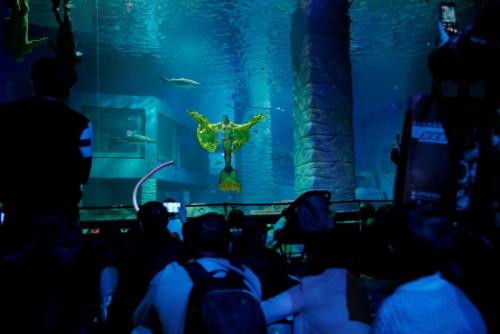 Русалки в аквариуме. Китайские русалки в аквариуме.