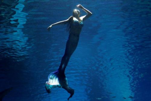 Русалки в аквариуме. Китайские русалки в аквариуме.