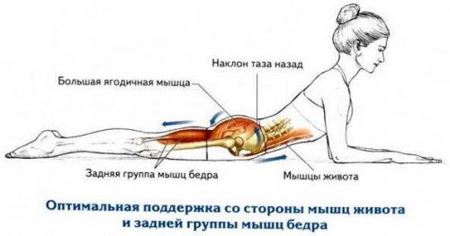 Королевская осанка. Упражнение для королевской осанки