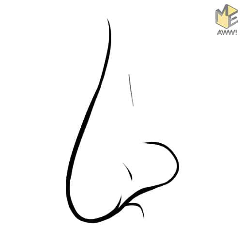 Характер по форме носа. Что мы можем узнать о характере человека по форме его носа?