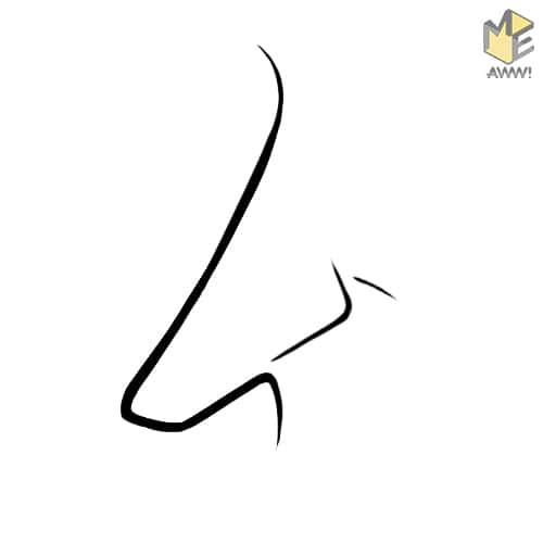 Характер по форме носа. Что мы можем узнать о характере человека по форме его носа?