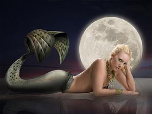 Как стать русалкой, как в h2o. Простые способы как стать русалкой без полнолуния