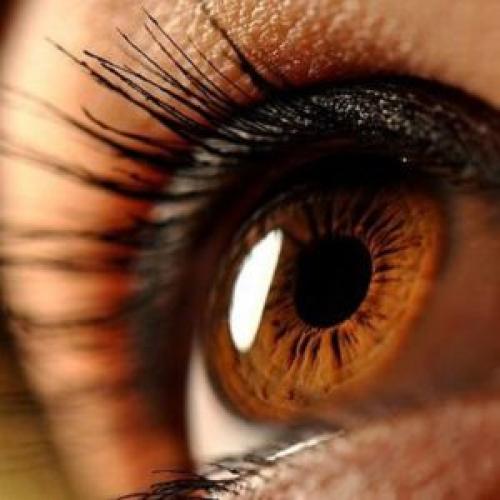 Как сделать макияж для карих глаз. Макияж для карих глаз различных оттенков