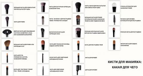 Профессиональные кисти для макияжа. Виды кистей