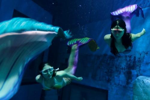 Русалки в аквариуме. Китайские русалки в аквариуме.