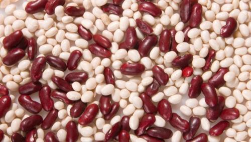 Каковы главнейшие функции белка. Белки и их функции