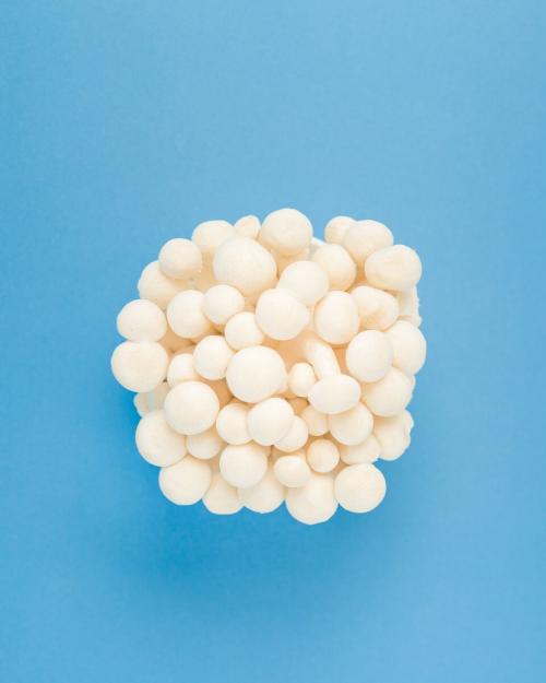 Как сузить поры советы косметолога. Как сузить поры на лице: 4 простых шага