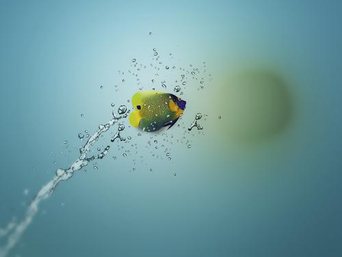 Желтые пятна под глазами, что это. Под глазами на веках желтые пятна – о, какой болезни они говорят? 07