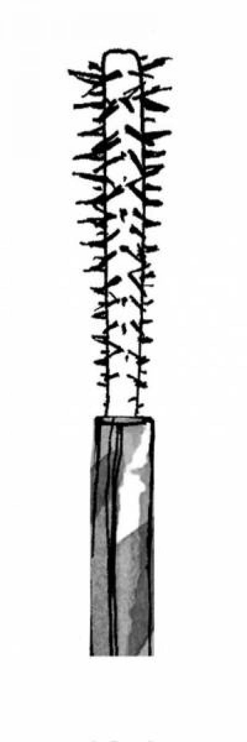 Виды кисточек для туши. 7 видов кисточек для туши: как в них разобраться?