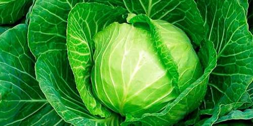 Сухая кожа тела витамины. Витамины от сухости кожи