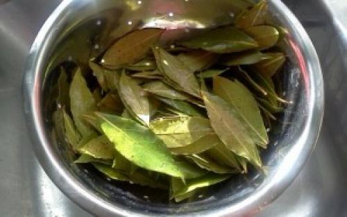 Тоник из лаврового листа в домашних условиях. Рецепты домашнего лосьона из лаврового листа, эффективного против прыщей