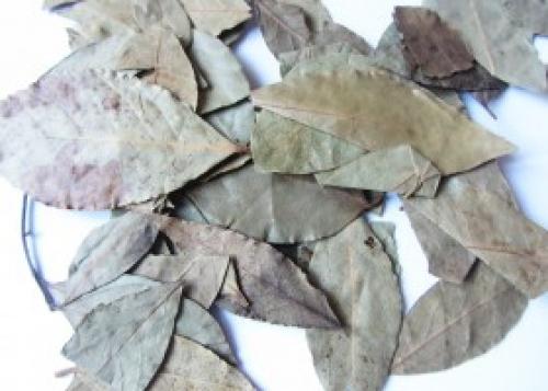 Отвар лаврового листа для лица. В борьбе с морщинами поможет отвар лаврового листа 05