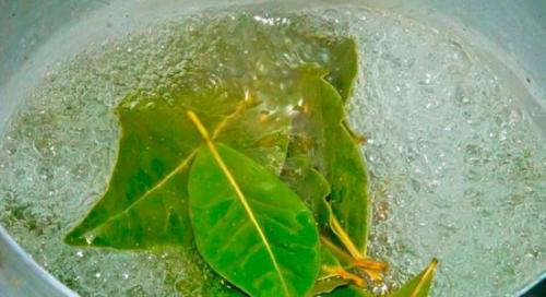 Лавровый лист для волос ополаскивание от вшей