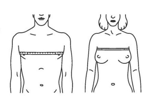Объем грудной клетки у мужчин, как измерить. Измерение параметров грудной клетки у мужчин и женщин культуристов