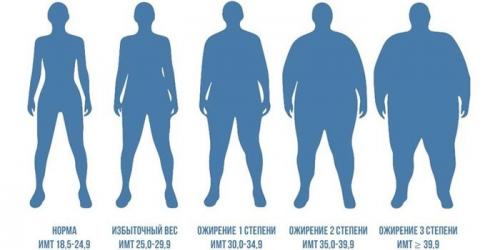 Ожирение 2 степени: как лечить заболевание