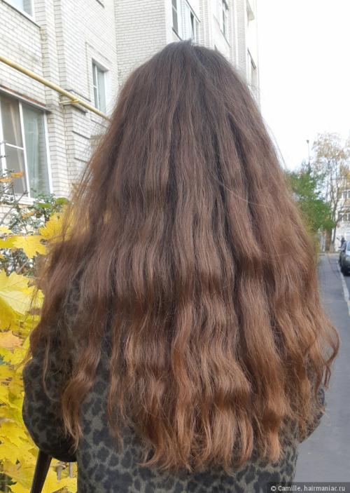 Проблемная кожа головы. Жирная кожа головы и свежие волосы - как их подружить?