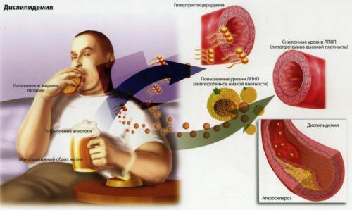 Можно ли есть желток при похудении. Почему нельзя есть желток?