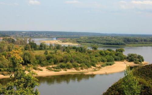 Как использовать масло оливковое для волос. Оливковое масло для волос: состав 06 Как использовать масло оливковое для волос. Оливковое масло для волос: состав 06