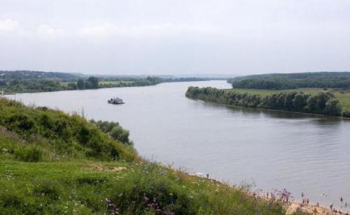 Как использовать масло оливковое для волос. Оливковое масло для волос: состав 04 Как использовать масло оливковое для волос. Оливковое масло для волос: состав 04