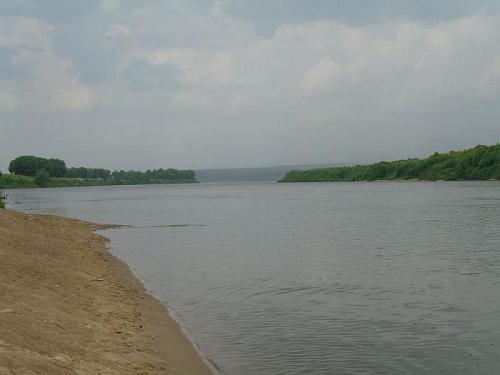 Как использовать масло оливковое для волос. Оливковое масло для волос: состав 05 Как использовать масло оливковое для волос. Оливковое масло для волос: состав 05