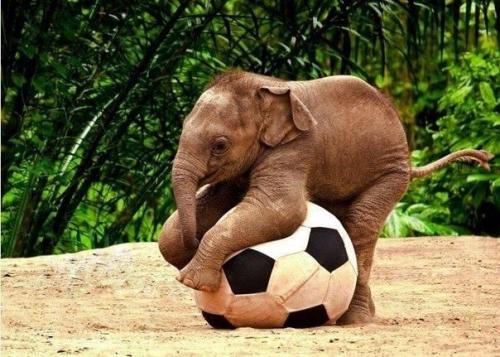 Какие овощи помогают похудеть. Овощи, способствующие похудению , какие овощи помогают худеть