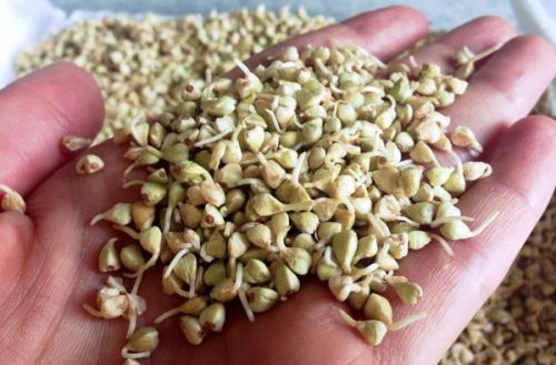 Рецепт гречка на кефире для похудения. Свойства гречки с кефиром для похудения 04