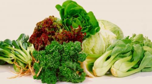 Похудеть за 10 дней форум. Похудеть за 10 дней на 10 кг реально! История нашей подписчицы Оксаны