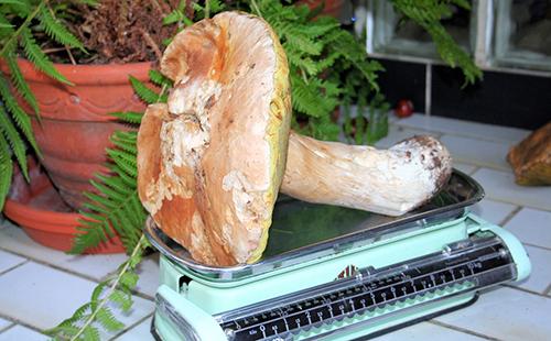 Аткинса диета меню. Суть и принципы 02