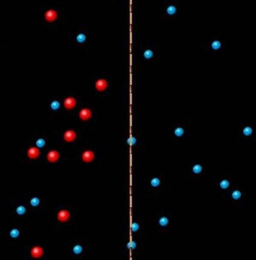 Содовая ванна для ног. Осмос — космос под микроскопом