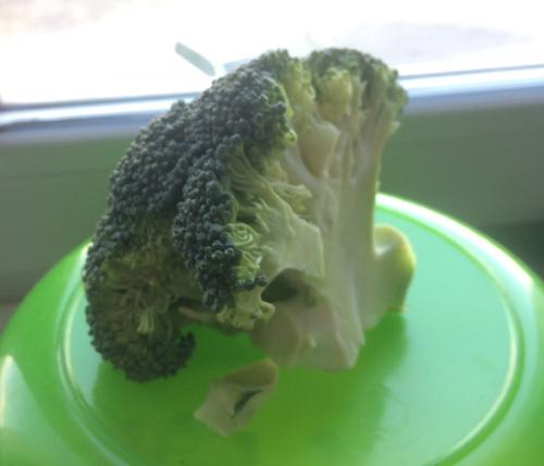 Как похудеть за 1 день на 20 кг. Как похудеть на 6 кг за 20 дней