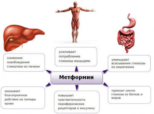 Метформин для похудения, как пить. Что такое метформин? 02