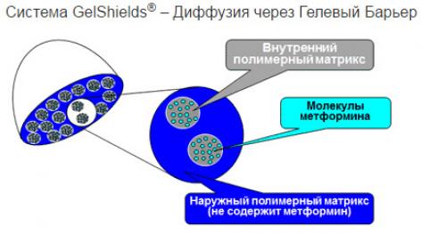 Метформин для похудения, как пить. Что такое метформин? 01