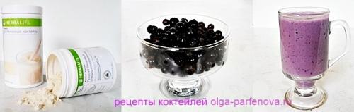 Гербалайф, как правильно принимать, чтобы похудеть. Как правильно приготовить, сколько и когда пить протеиновый коктейль