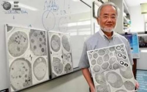 Рецепты Поля брэгга. Диета Поля Брегга — плюсы и минусы