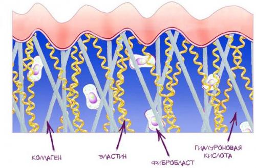 От похудения бобы. Волшебные бобы — эффективный препарат для похудения