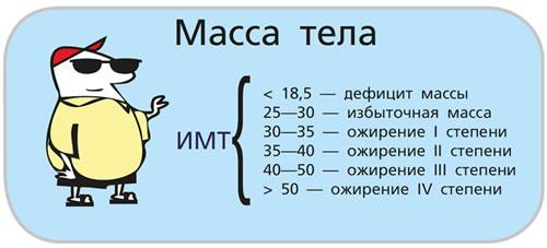 Степень ожирения калькулятор. Индекс массы тела. Калькулятор ИМТ