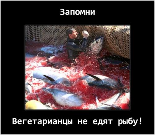 Рыба и вегетарианство. Едят ли вегетарианцы рыбу? 06 Рыба и вегетарианство. Едят ли вегетарианцы рыбу? 06