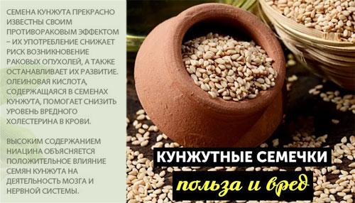 Кунжут калорийность. Кунжут