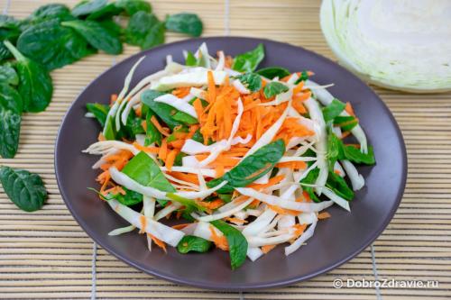 Салат метелка для очищения кишечника рецепт. Салат «Метёлка» по Арнольду Эрету