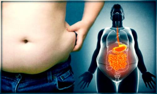 Ожирение внутренних органов лечение. Чем опасно внутреннее ожирение и как его лечить? 05