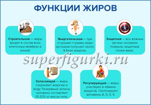 Как есть меньше жиров. Опасность продуктов без жиров. Как уменьшить количество жира в пище и не навредить здоровью?