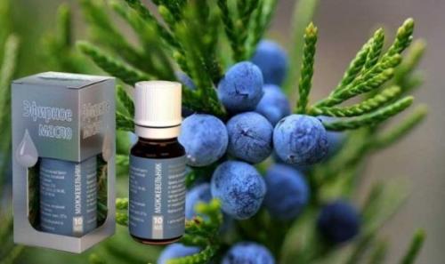 Обертывание черная глина горчица мед. Маски от целлюлита с горчицей и их механизм действия