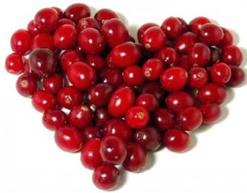 Препараты улучшающие метаболизм в организме. Что такое метаболизм? 02