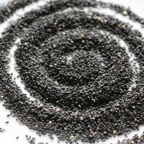 Черный кунжут. Семена кунжута белого и черного: польза и вред