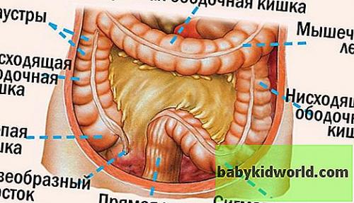 Чистка по Оганян. 5 причин почему я больше не буду голодать по методу Марвы Оганян 11 Чистка по Оганян. 5 причин почему я больше не буду голодать по методу Марвы Оганян 11