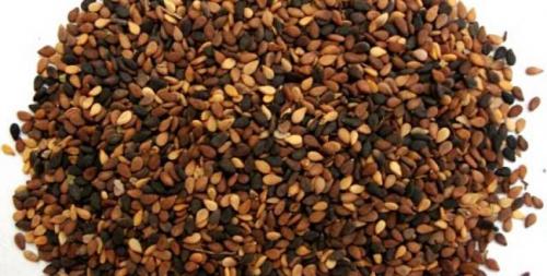 Черный кунжут. Семена кунжута белого и черного: польза и вред