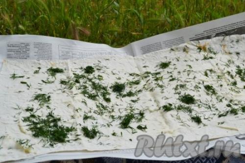 Лаваш с сыром и зеленью на мангале