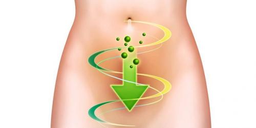 Чистка организма от токсинов и шлаков в домашних условиях. Программа очищения организма в домашних условиях