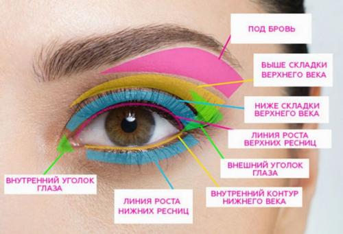 Хитрости макияжа глаз. Чтобы правильно наносить тени и пользоваться мастер-классами, необходимо знать названия частей века и глаза.